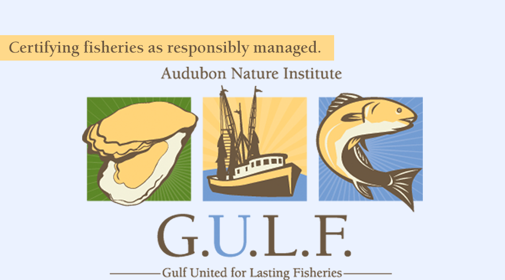 Gulf United for